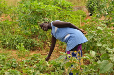 TG Landwirtschaft & Ernährung